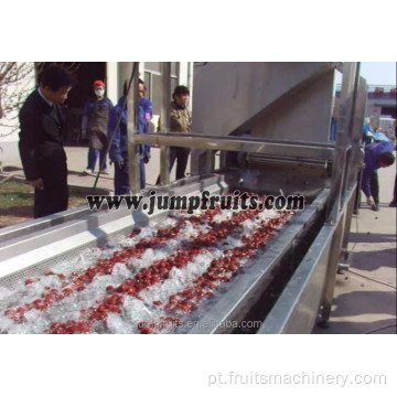 Máquina de processamento de concentrado de suco de polpa de pequena escala